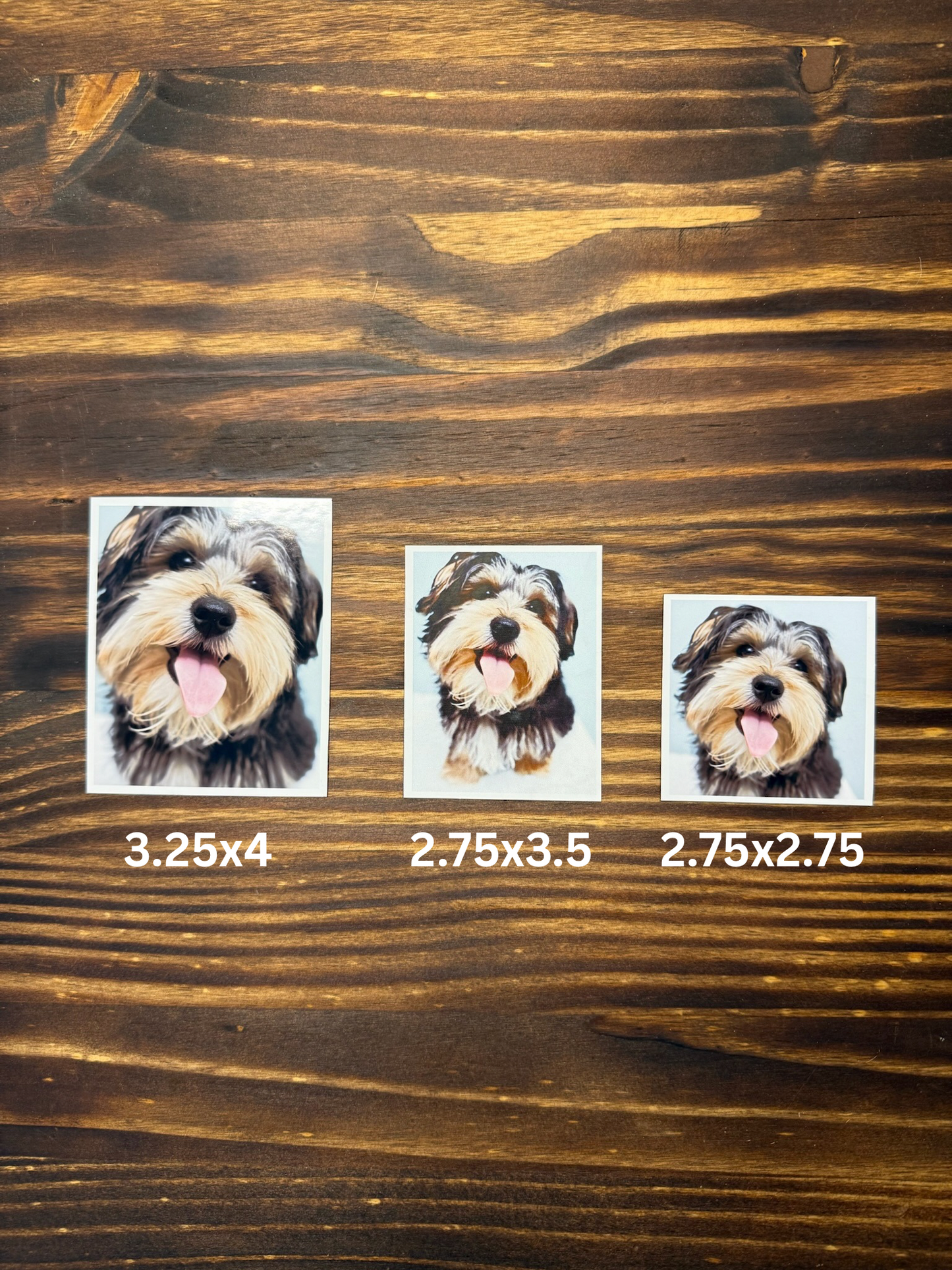 Custom Photo Magnets