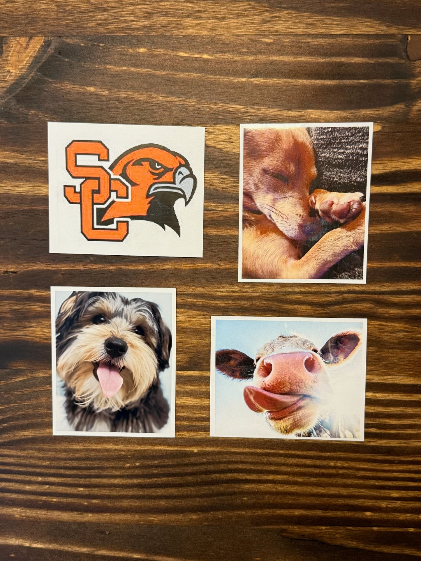 Custom Photo Magnets